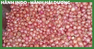 Hành Indonesia, Cung Dụng, Cách Chế Biến