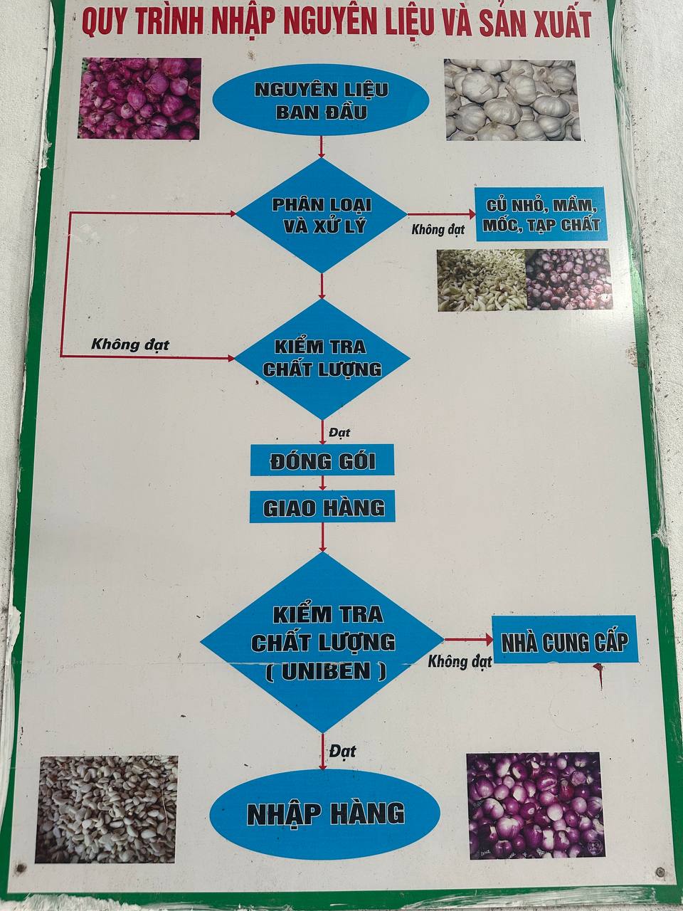 Quy trình nhập liệu và sản xuất của Xưởng Hành Kinh Môn Hải Dương