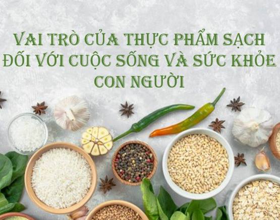 Lợi ích của thực phẩm sạch với sức khoẻ con người