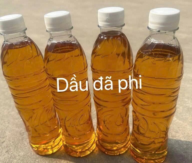 Dầu hành phi đóng lọ