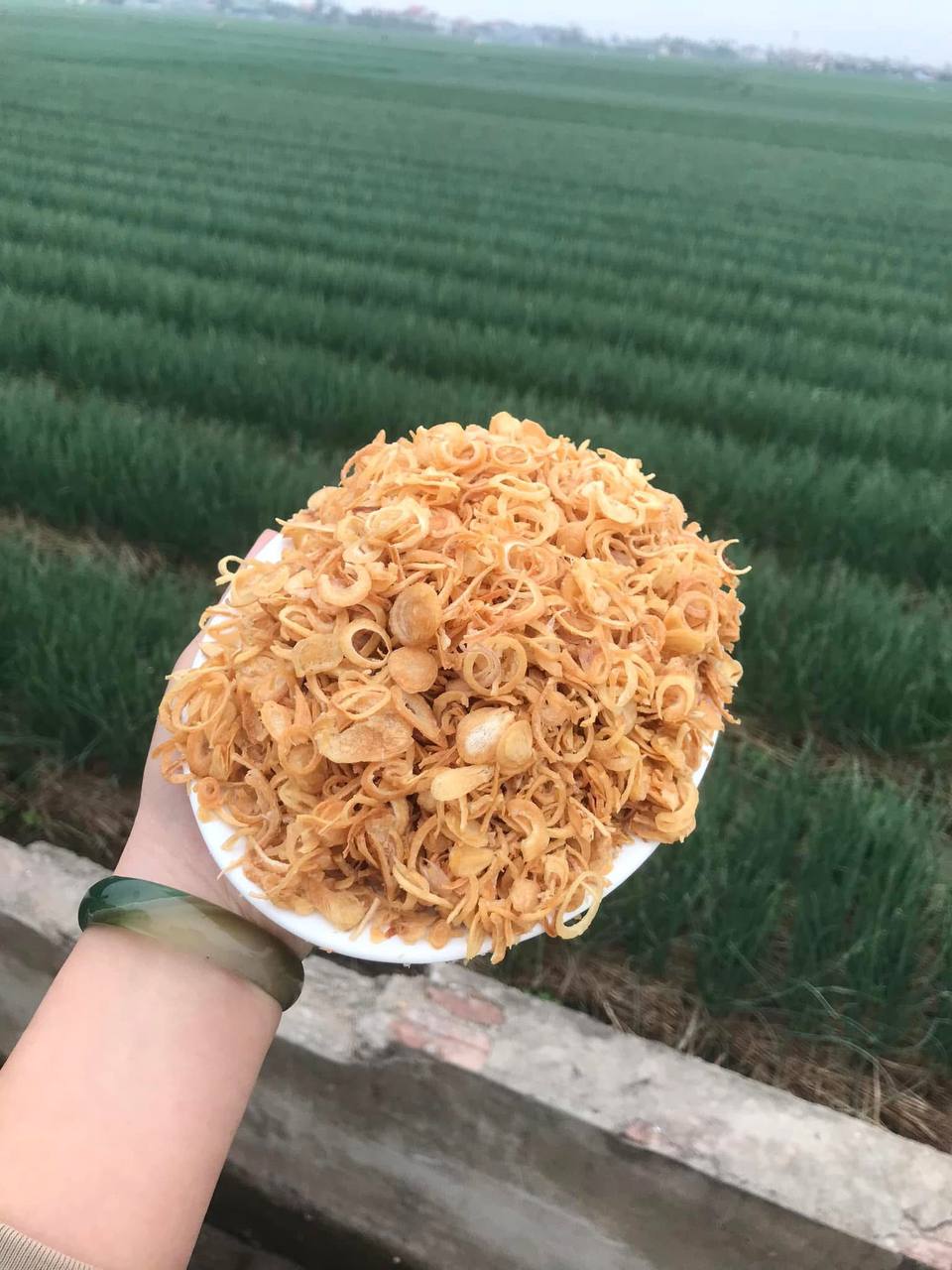 Cánh đồng hành Hải Dương