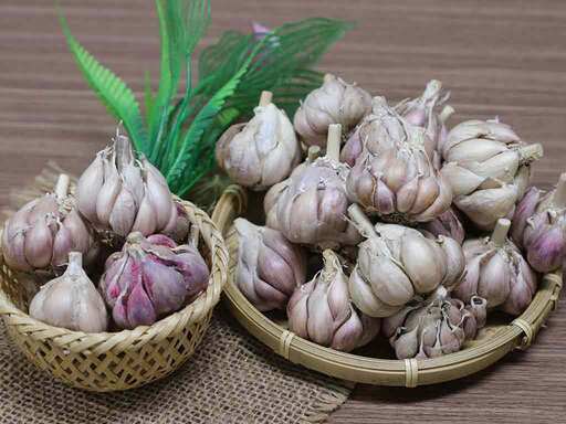 Chế biến tỏi