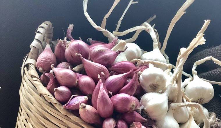 Bảo quản hành tỏi nơi khô giáo, mát.