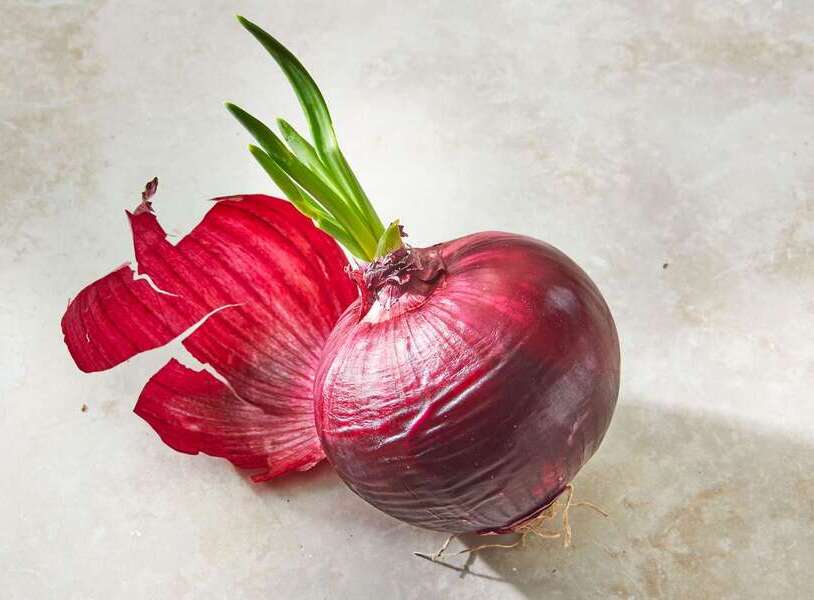 Hành bị mọc mầm