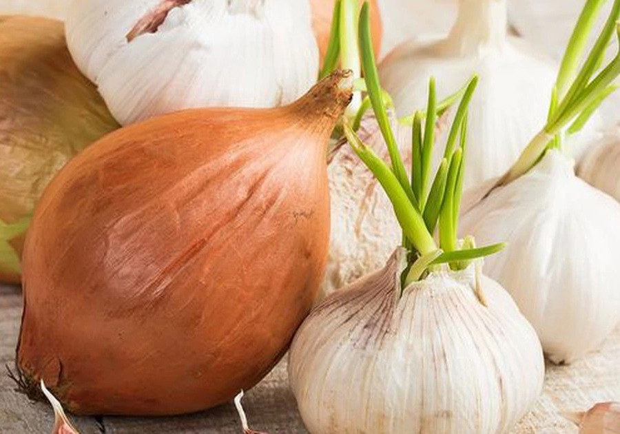 Hành tỏi bị mọc mầm có ăn được không?