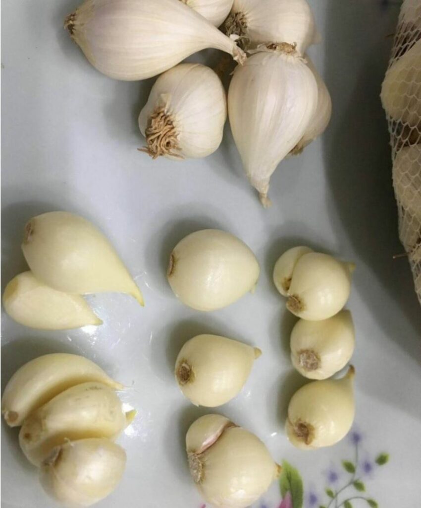 Tỏi Lý Sơn được bóc vỏ thơm ngon